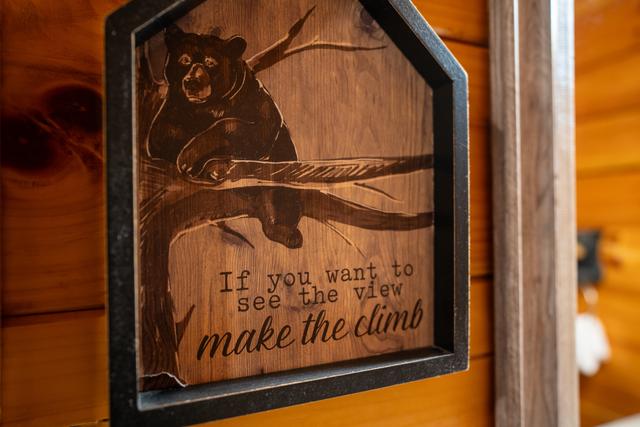 Taken at 210 Cubs in the Treetops in Phase II TN