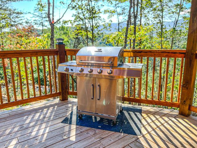 Taken at Panorama Perch in Gatlinburg TN