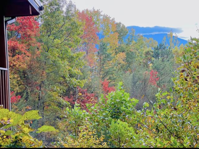 Taken at Falcon Crest in Gatlinburg TN