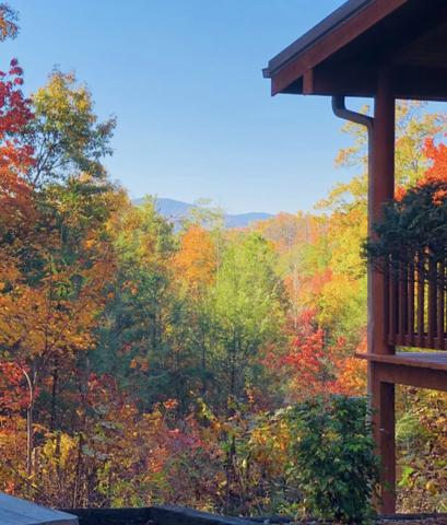 Taken at Falcon Crest in Gatlinburg TN