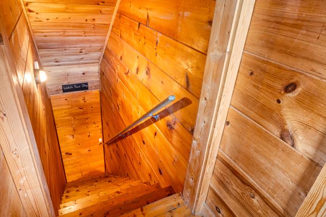 Taken at Firefly Lodge in Gatlinburg TN