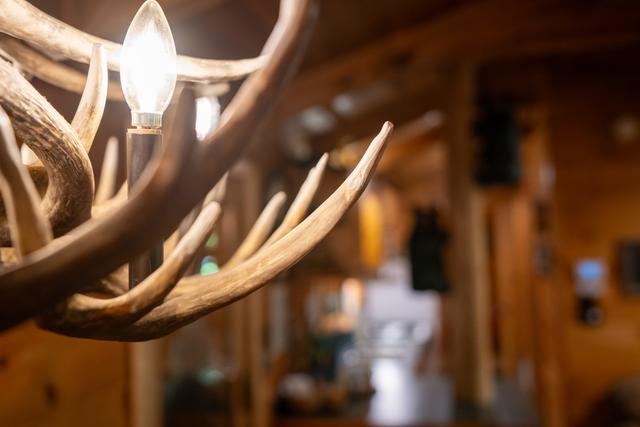 Taken at Cozy Bear in Gatlinburg TN Taken at Cozy Bear in Gatlinburg TN