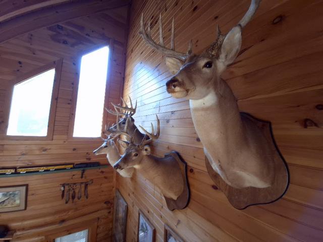 Taken at The Reservation- On the River in Gatlinburg TN Taken at The Reservation- On the River in Gatlinburg TN