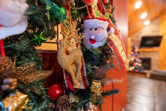 Taken at 210 Cubs in the Treetops in Phase II TN