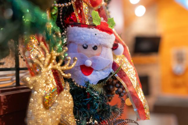 Taken at 210 Cubs in the Treetops in Phase II TN