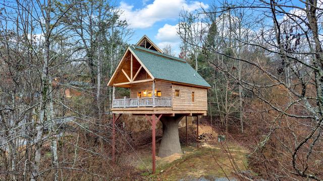 Taken at Knock on Wood in Gatlinburg TN