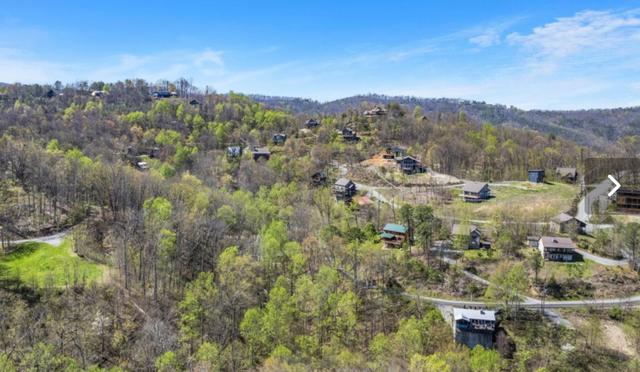 Taken at Austin's Mountain Hideaway in Gatlinburg TN