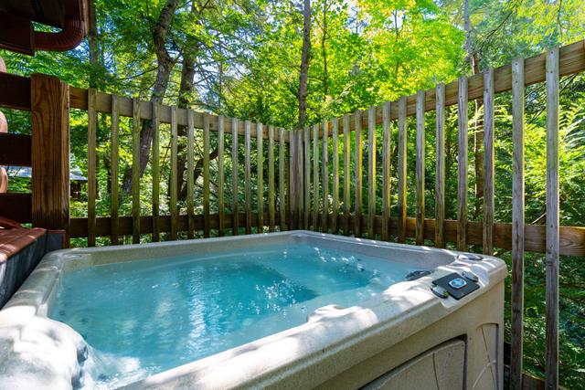 Taken at 210 Cubs in the Treetops in Phase II TN