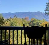 Taken at Eagles Nest in Gatlinburg TN