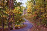 Taken at The Fur Traders Cabin- Pigeon Forge in Gatlinburg TN