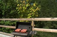 Taken at Vixen Run in Gatlinburg TN Taken at Vixen Run in Gatlinburg TN