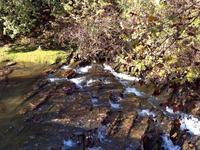 Taken at The Reservation- On the River in Gatlinburg TN Taken at The Reservation- On the River in Gatlinburg TN