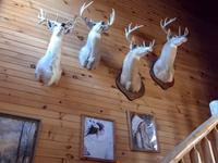 Taken at The Reservation- On the River in Gatlinburg TN Taken at The Reservation- On the River in Gatlinburg TN