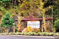 Taken at Lumberjack and Prospector in Gatlinburg TN