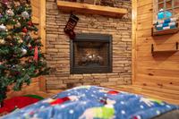 Taken at 210 Cubs in the Treetops in Phase II TN