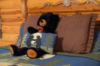 Taken at Bear Dance in Gatlinburg TN