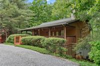 Mountain Dew | Smoky Mountain Cabin Rentals