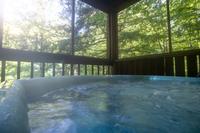 Taken at 26 Bearfoot Landing in Phase I TN