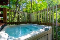 Taken at 210 Cubs in the Treetops in Phase II TN