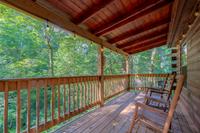 Taken at 210 Cubs in the Treetops in Phase II TN