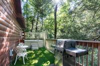 Taken at 210 Cubs in the Treetops in Phase II TN