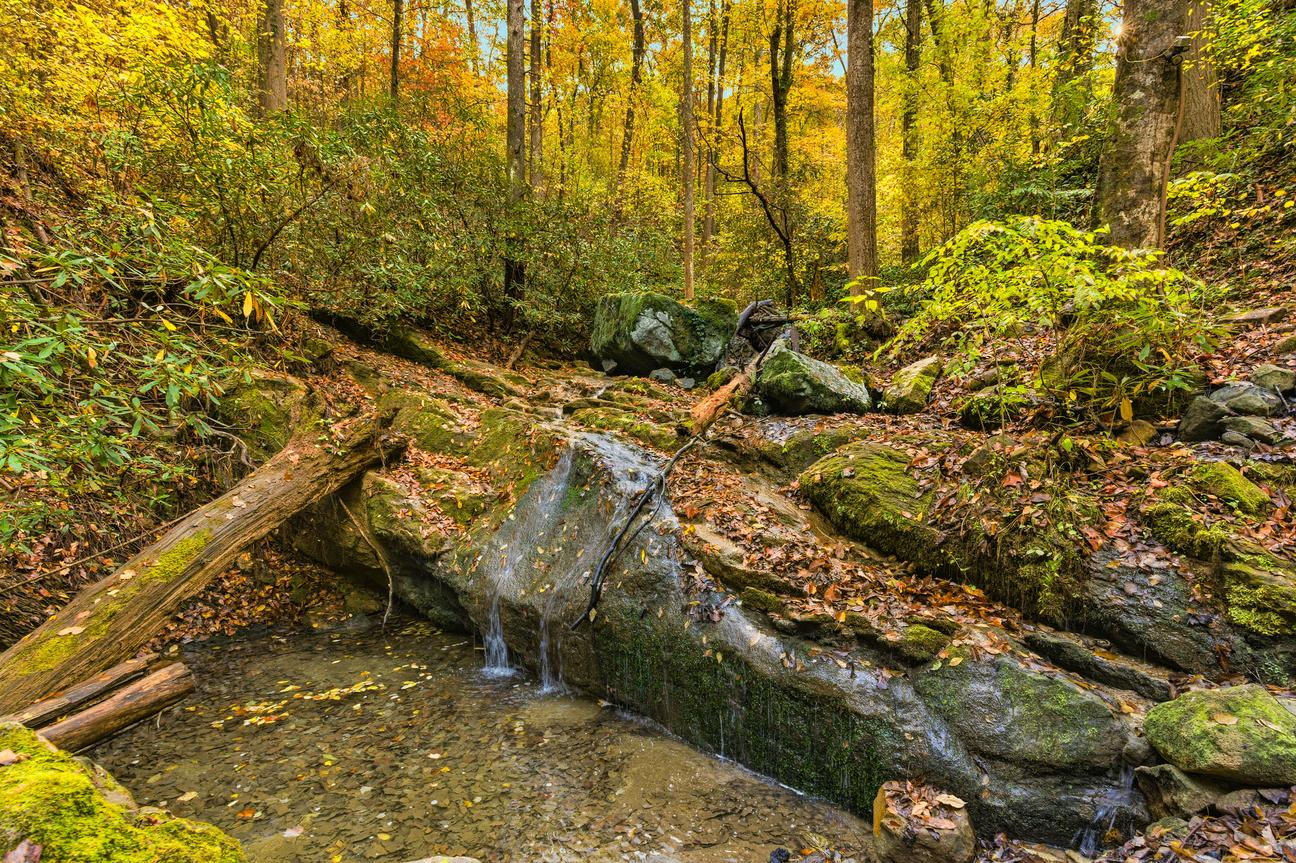 Waterfall Woods Lodge
