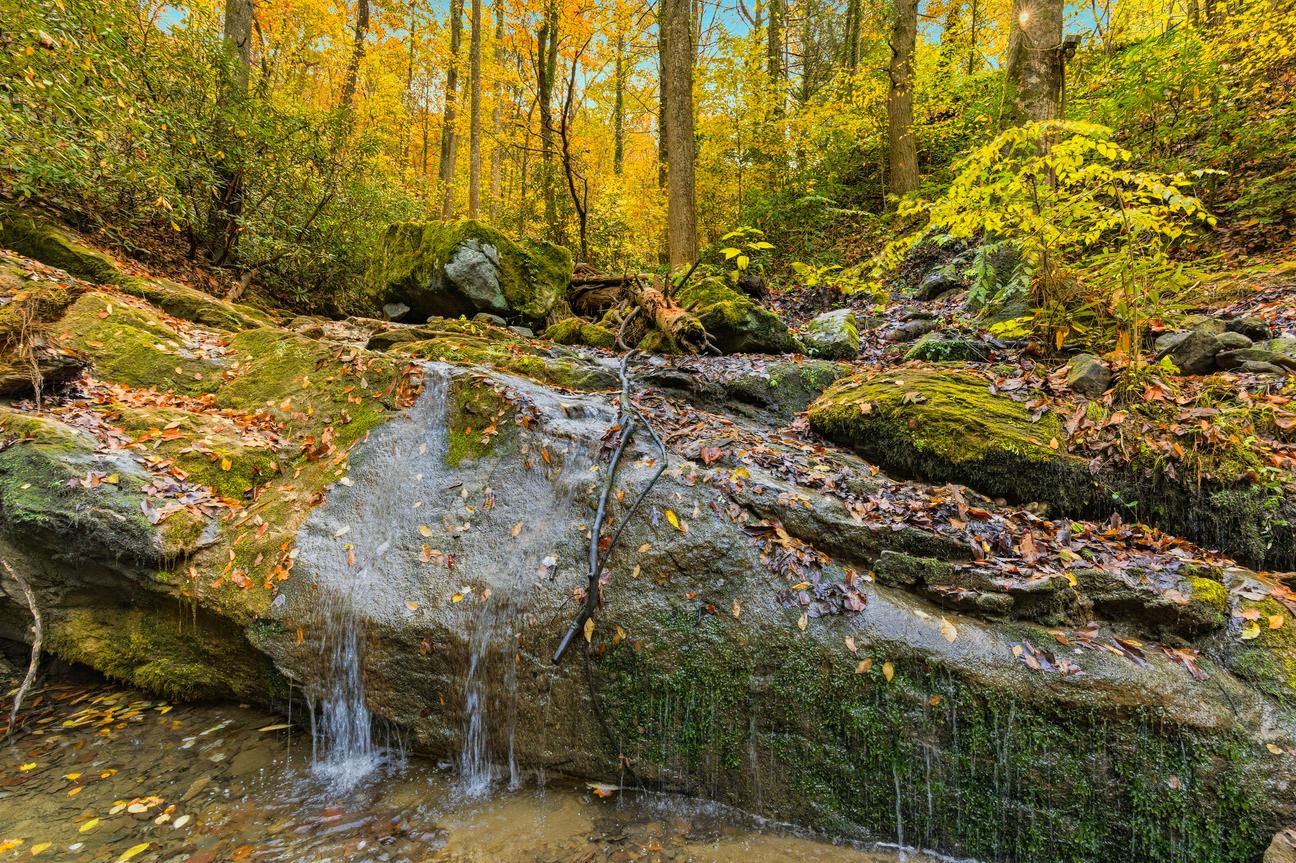 Waterfall Woods Lodge