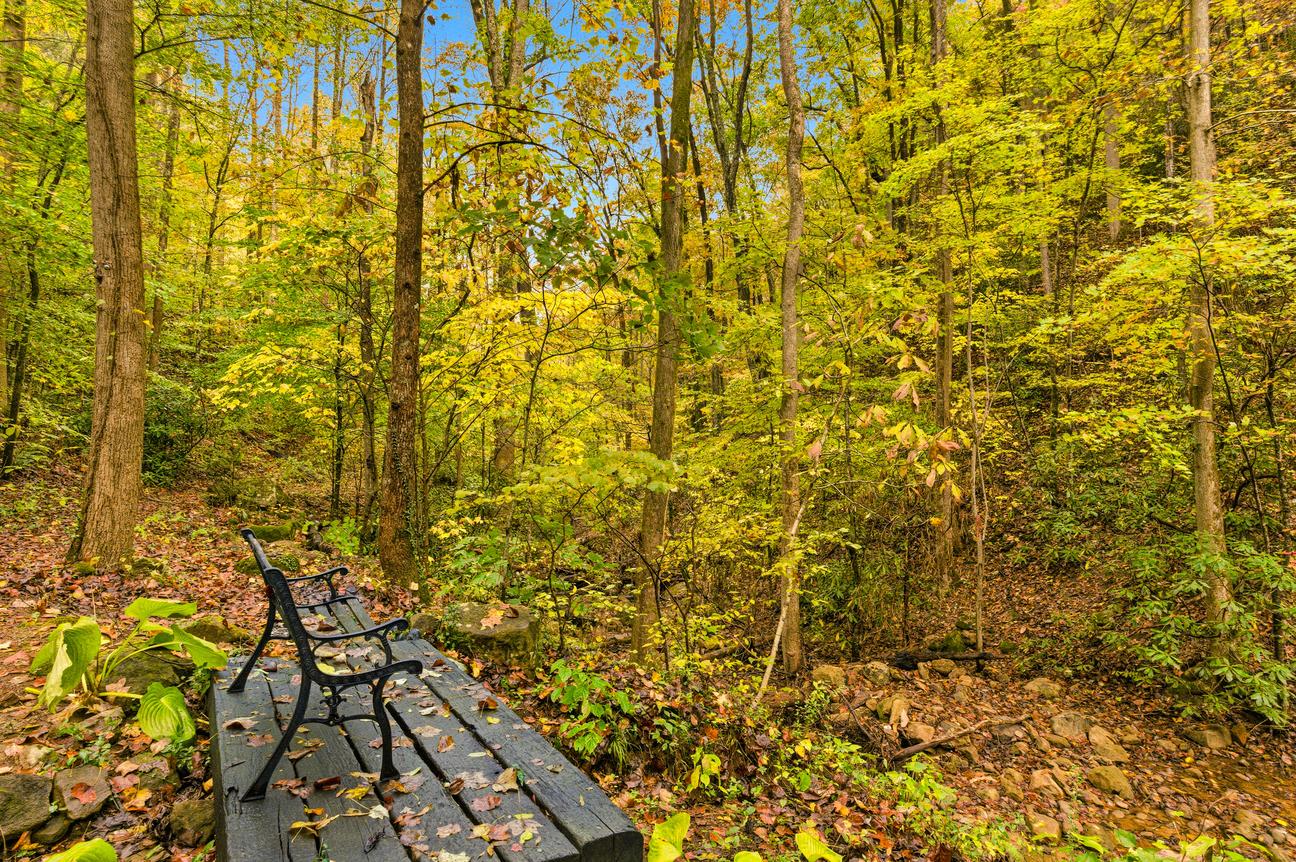Waterfall Woods Lodge