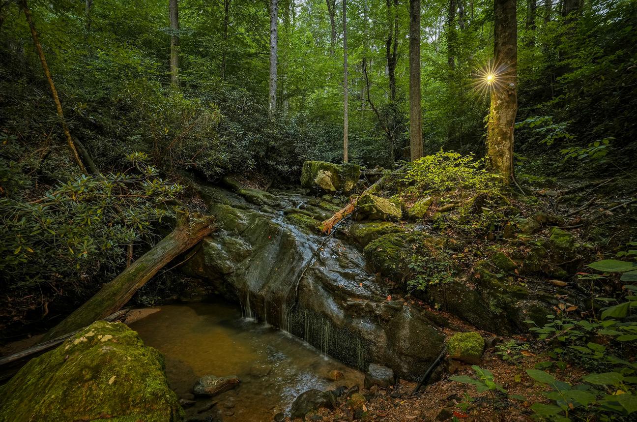 Waterfall Woods Lodge