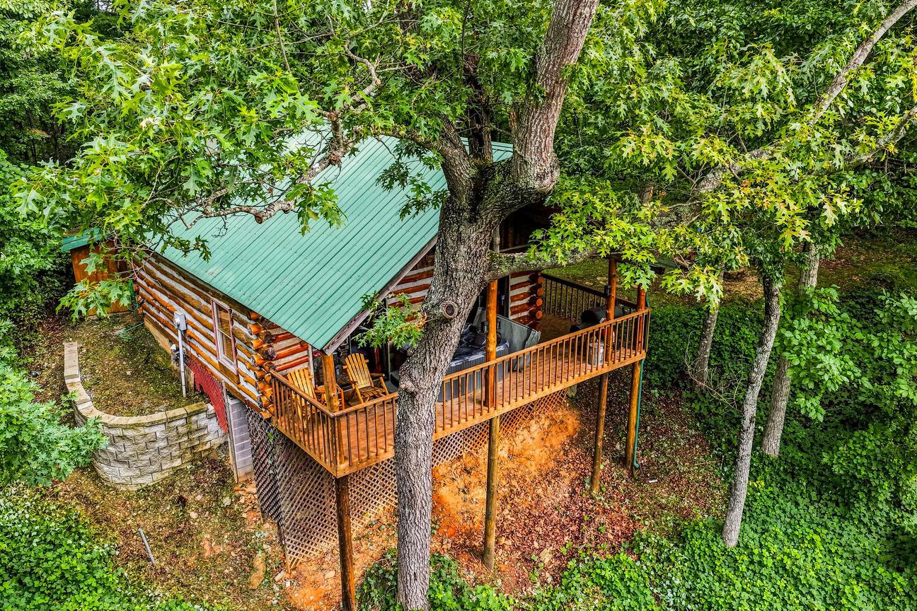 Pine Knot Cabin