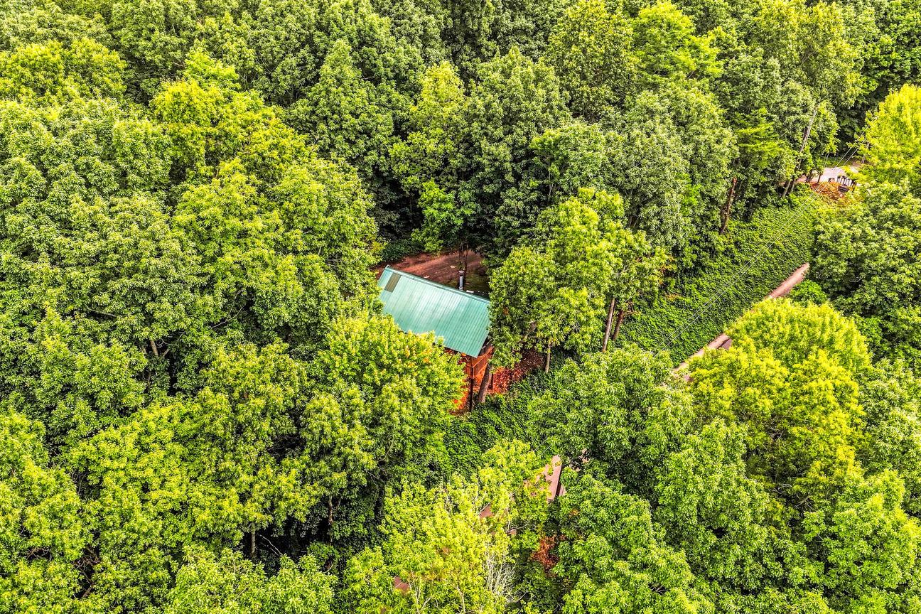 Pine Knot Cabin