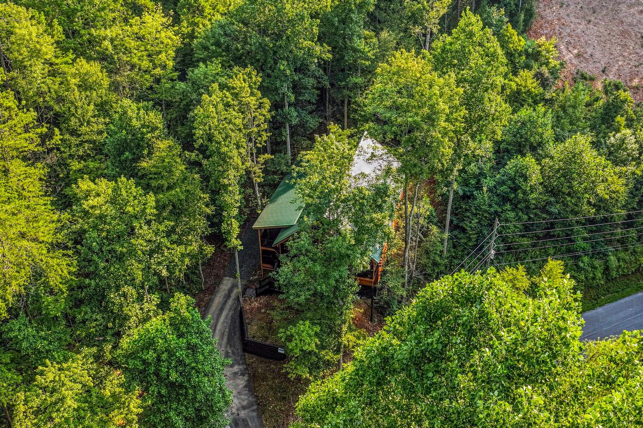 Bear Mansion Getaway