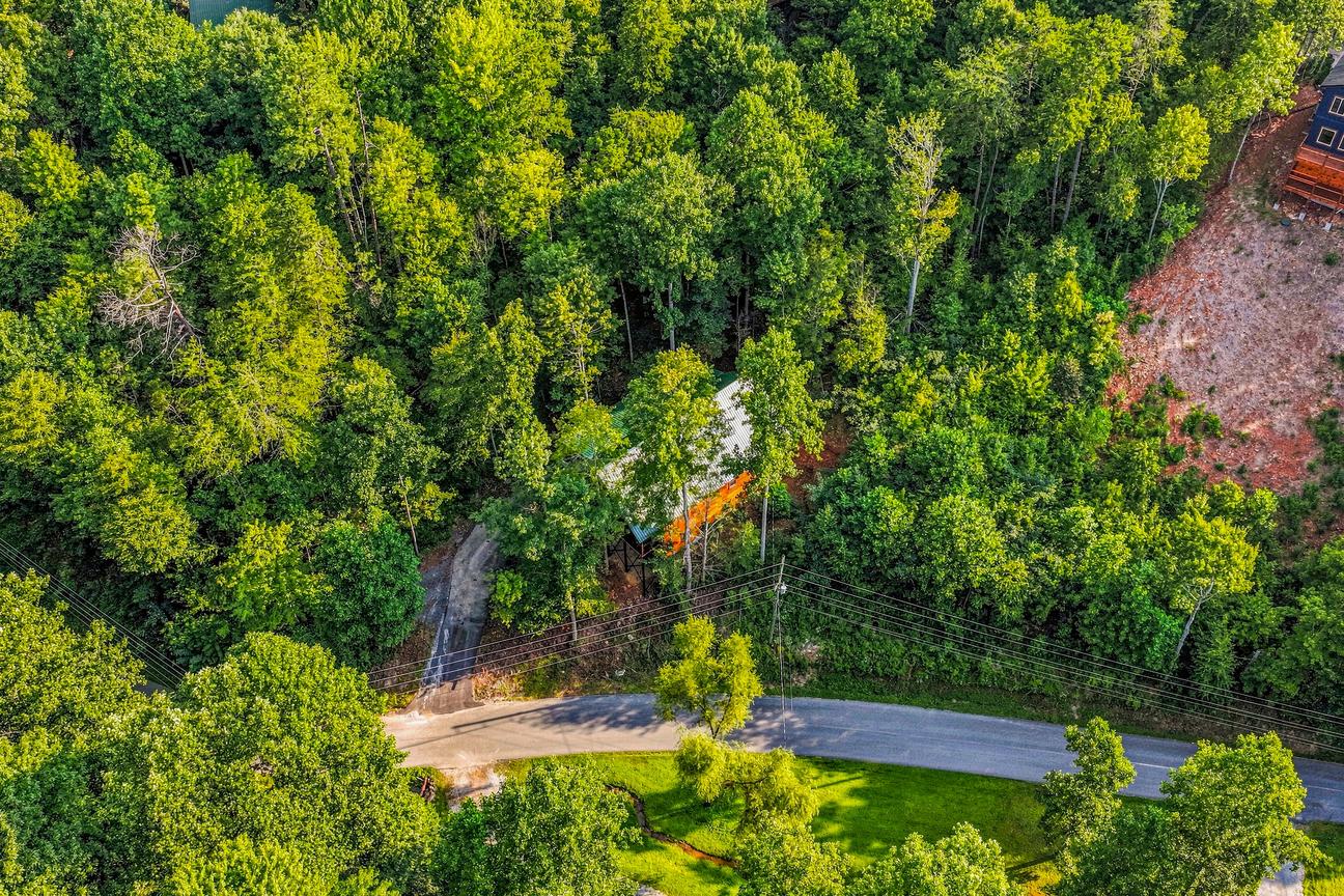 Bear Mansion Getaway
