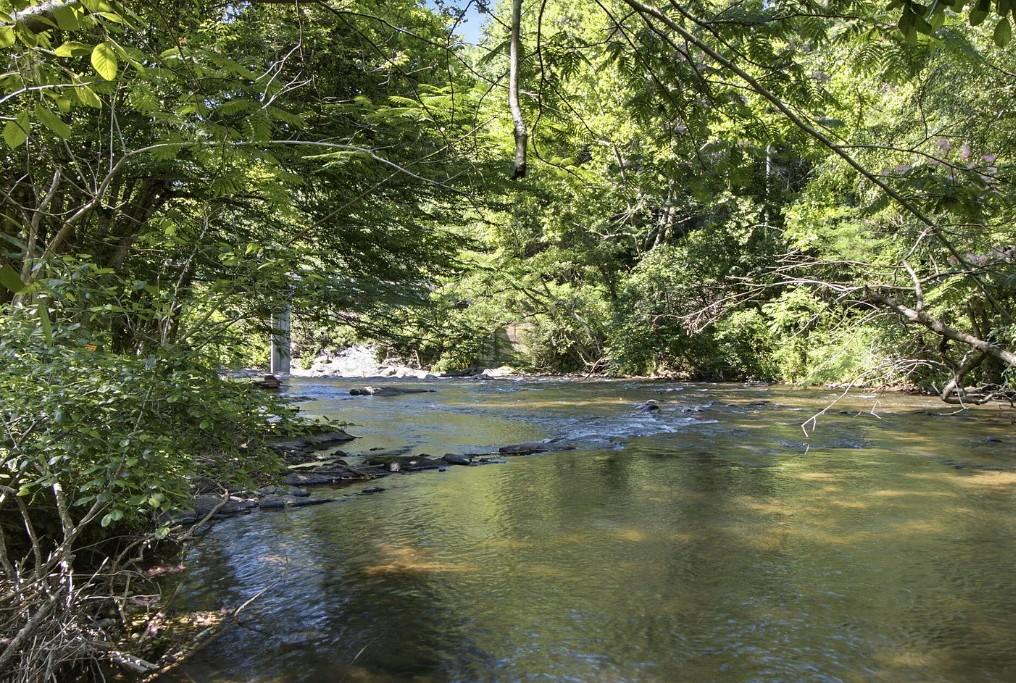 Tranquility River Chalet