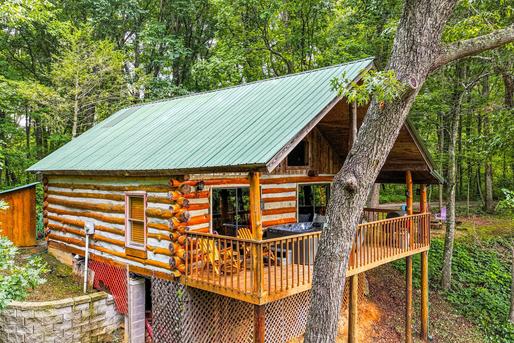 Pine Knot Cabin