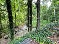 Creekside Cabin