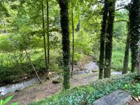 Creekside Cabin