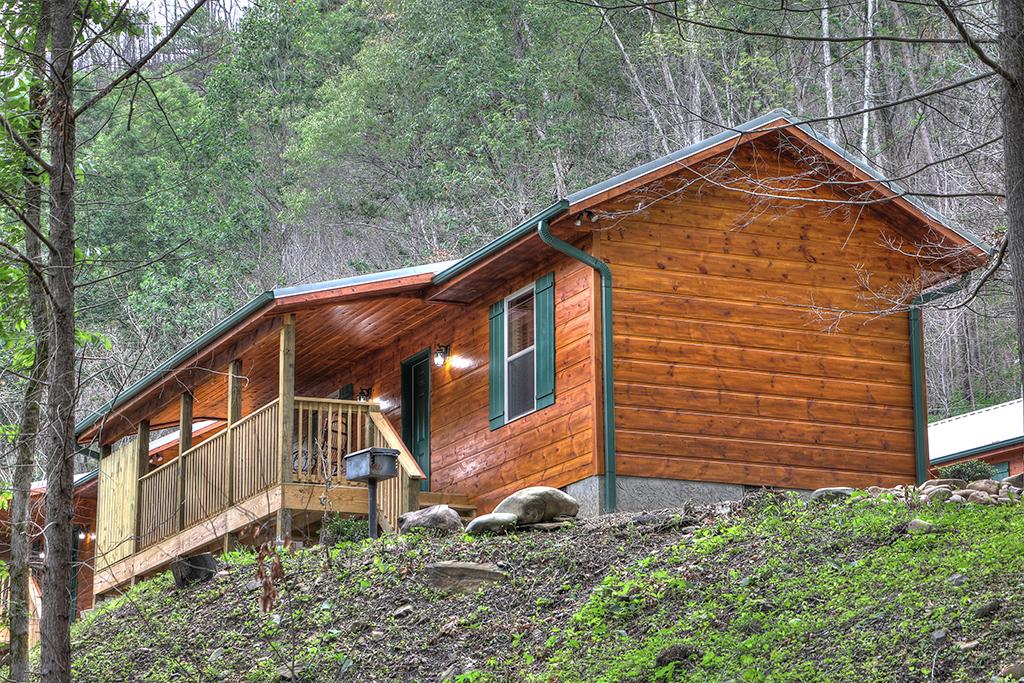 4 Animal House 1 Bedroom Cabin At Parkside Cabin Rentals