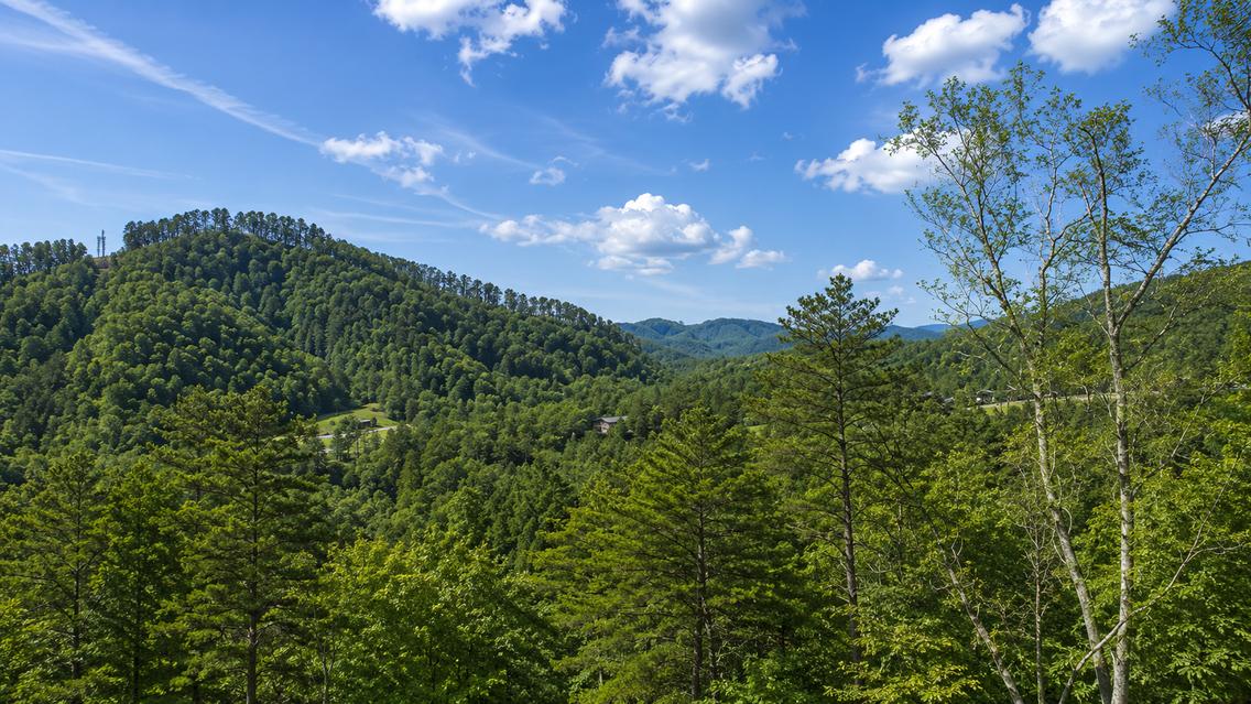 Appalachian Lodge
