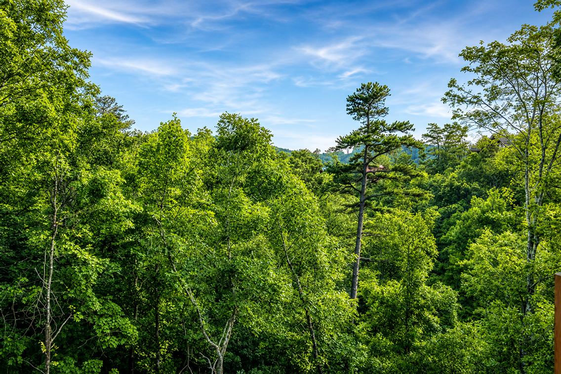 Cherokee Wind