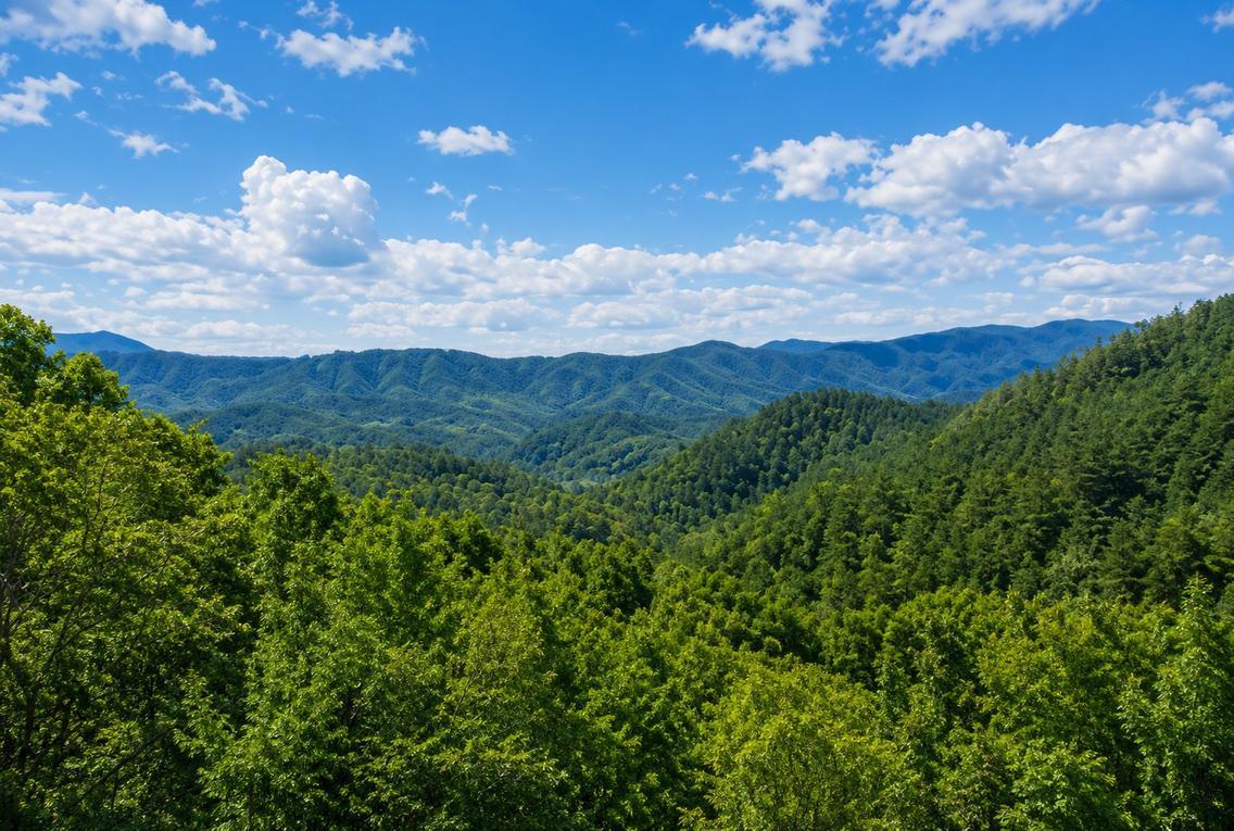Picture Perfect View