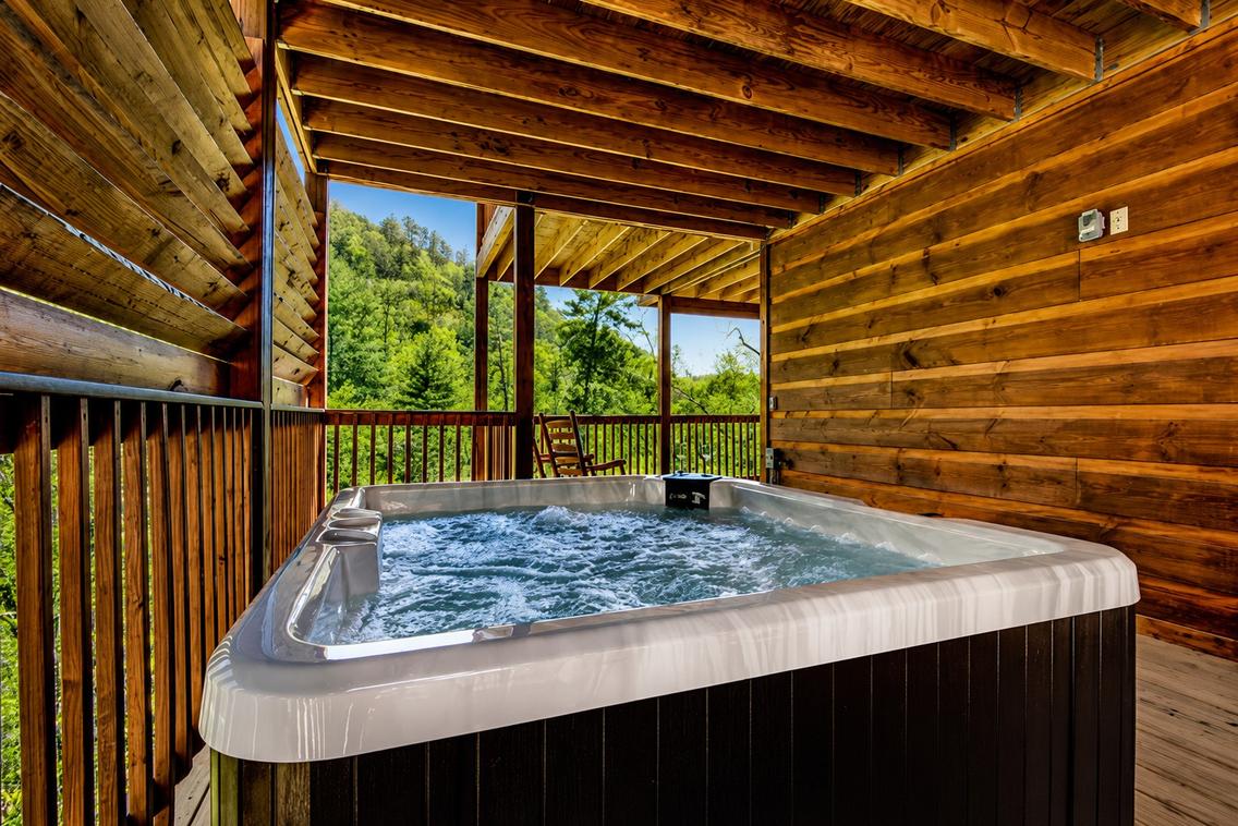 IncomBEARable Luxury