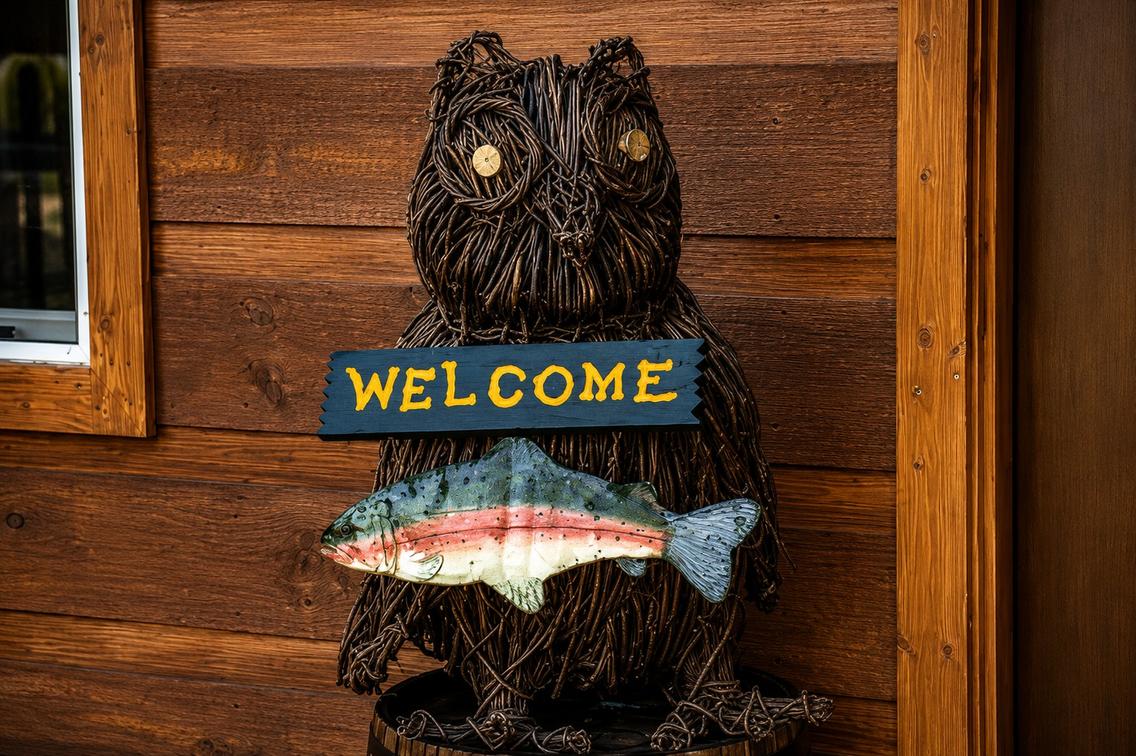 The Owl and the Trout