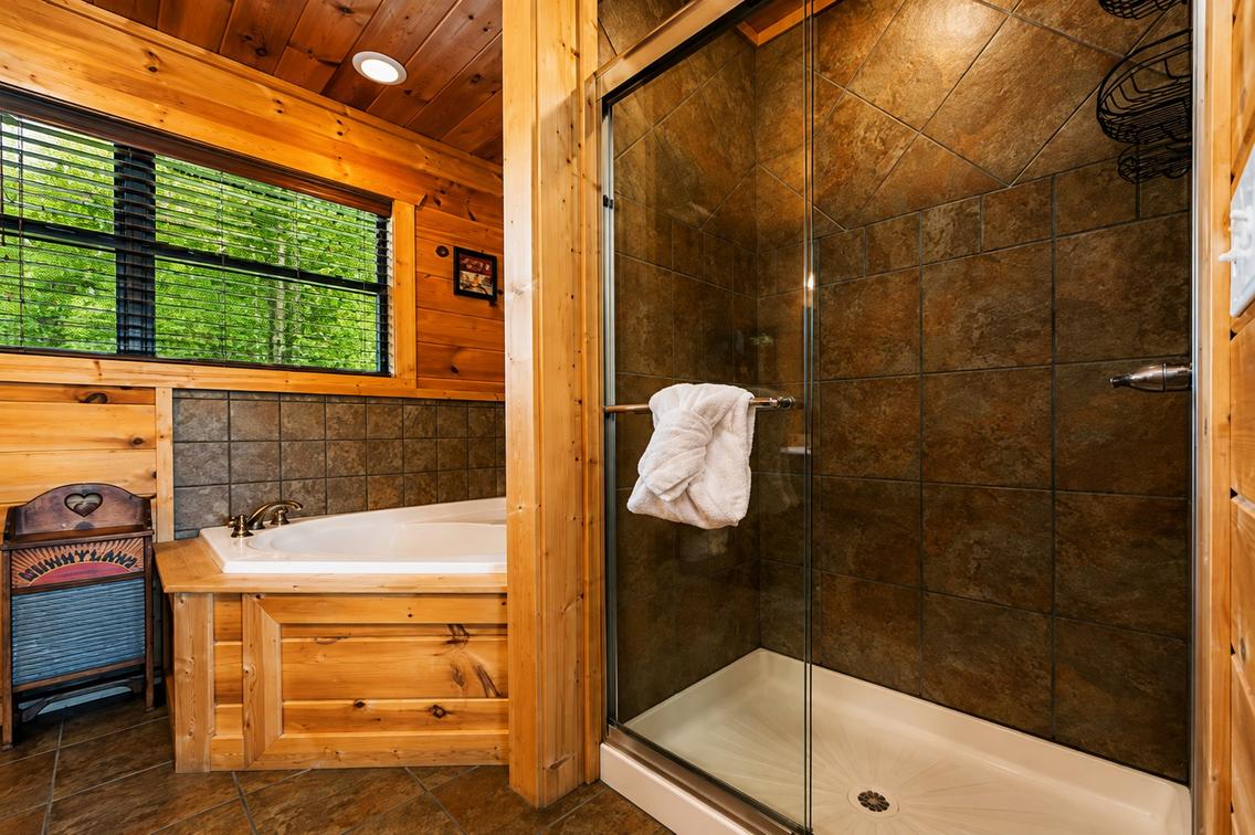 A Suite Mountain View