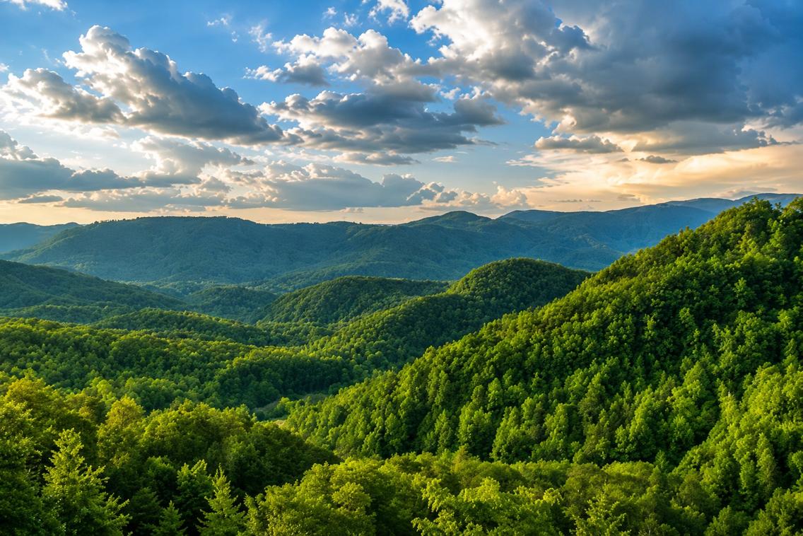 Majestic Mountain View