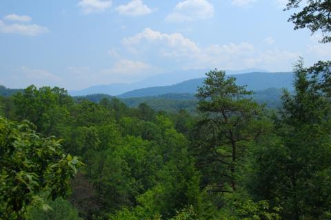 Photo of A Suite Mountain Escape