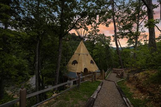 Photo of Cub House - 9