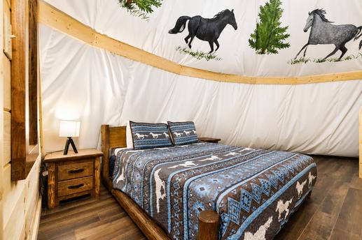 Photo of Flyin' Horse Queen/Bunk Style