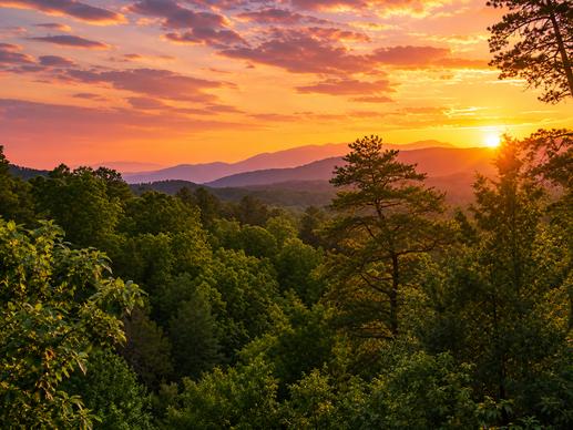 A Suite Mountain Escape
