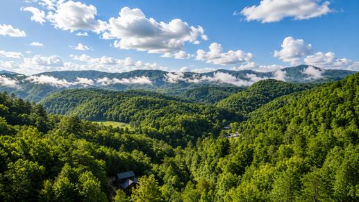A Mountain Paradise